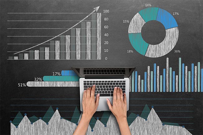 Statistiche Web Professionali