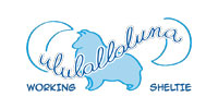 Ululallaluna Shetland Francesca Miletto